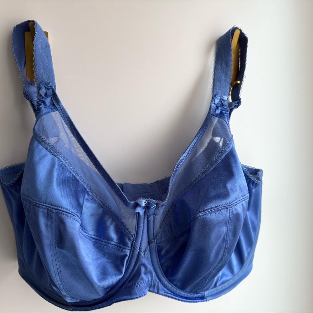 Keira Goddess Blue Intimate Bra 36GG